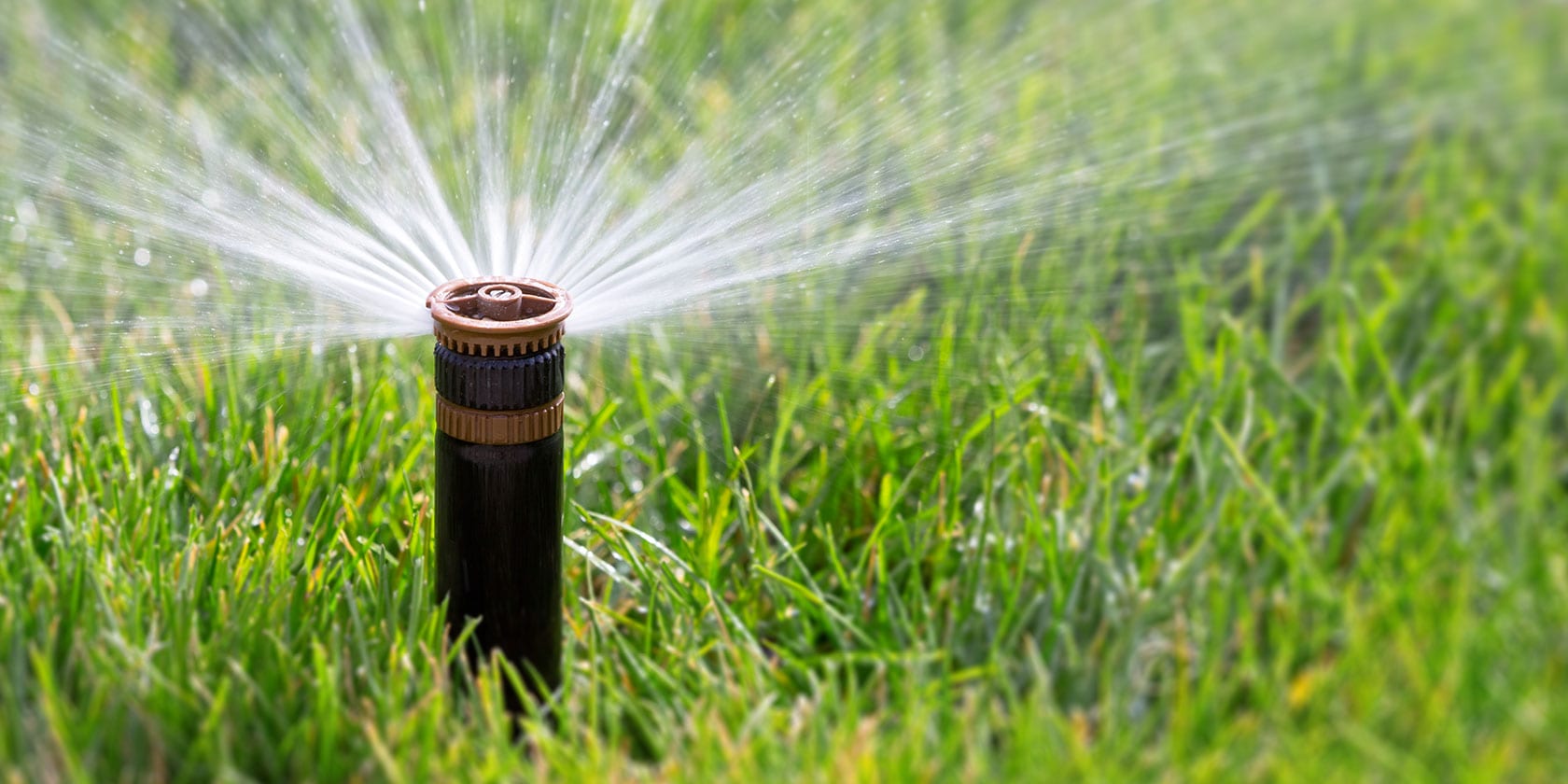 the-5-best-smart-sprinkler-systems-to-conserve-water-and-cash-the