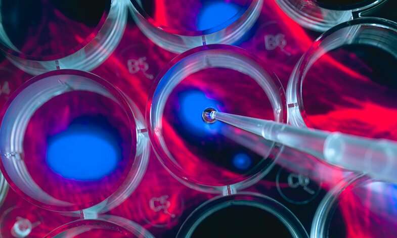 New research into stem cell mutations could improve regenerative medicine | The Better Parent