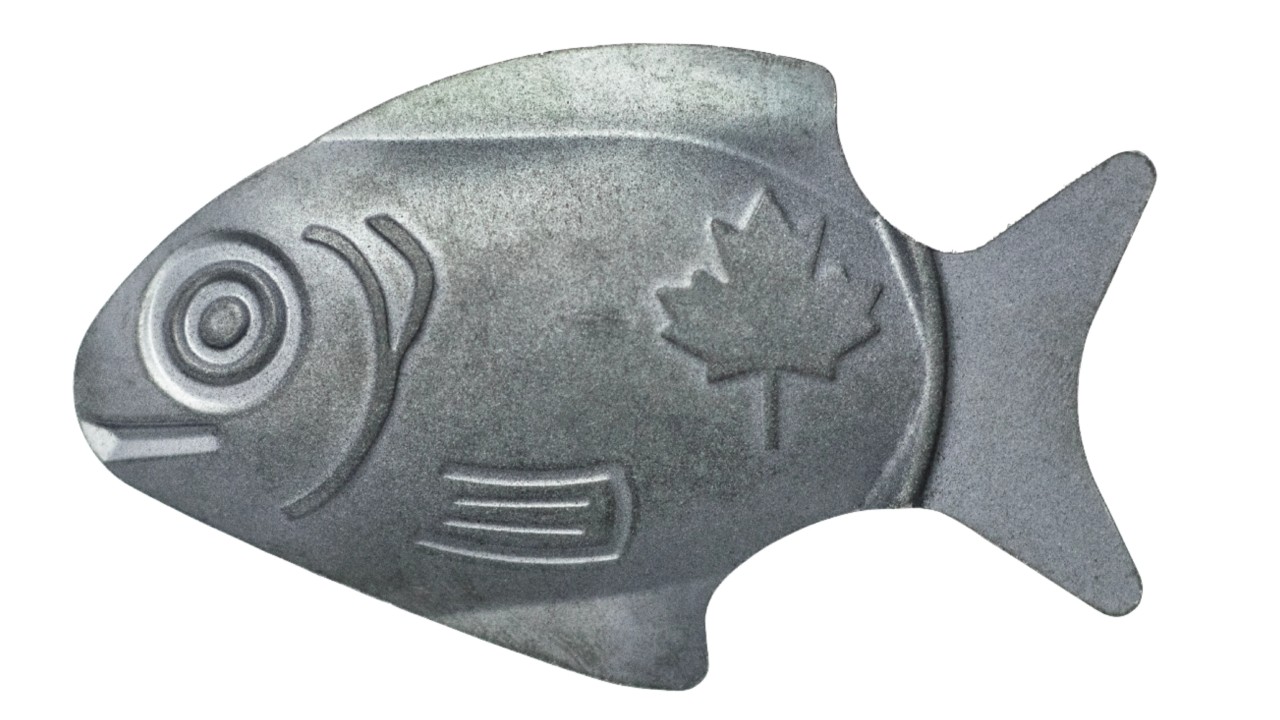iron fish for cooking